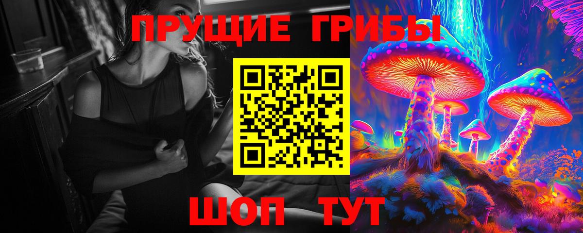 Галлюциногенные грибы Psilocybine cubensis Уварово